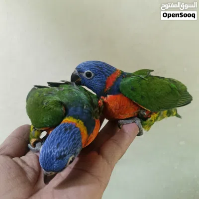 undefined 2