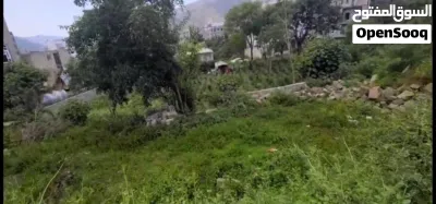 أرض استثمارية لقطة في الجباجب - 3 قصب وربع على شارعين 16م و4م عرطه امانه 27مليون الكل الجاد 2