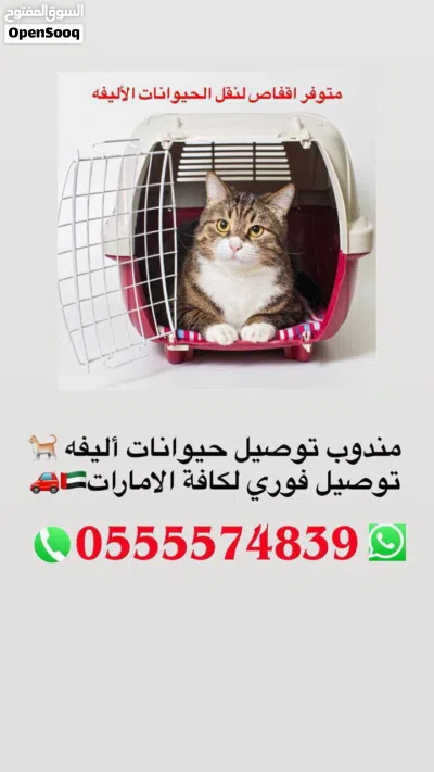 undefined 2