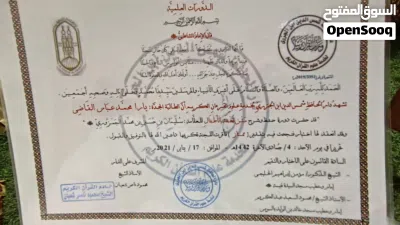 محفظة قران كريم ومدرسة تربية إسلامية 2