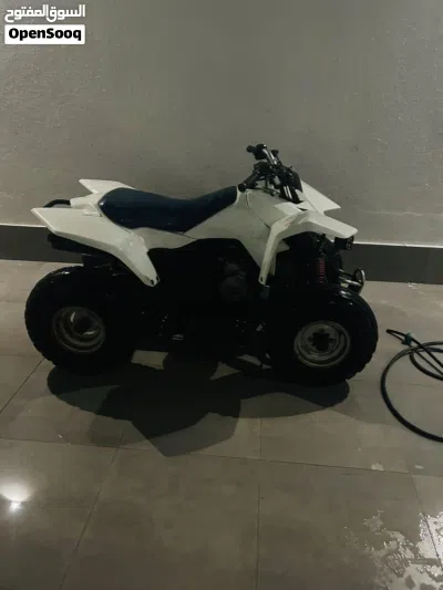 Suzuki 90cc 3