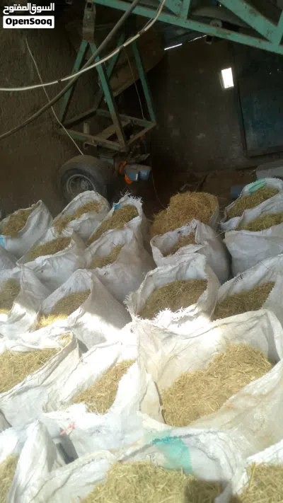 undefined 3