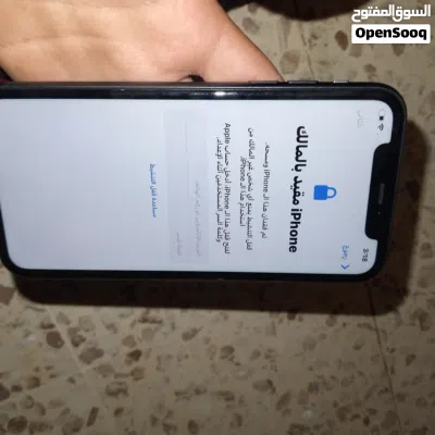 ايفون 11 عادي 3