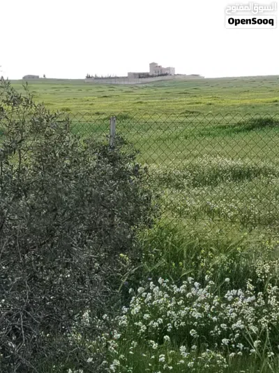 طريق المطار حوارة منطقة مزارع وفلل 3