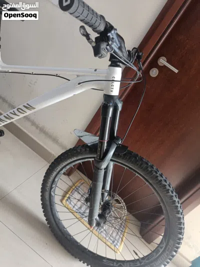 mountain bike 2