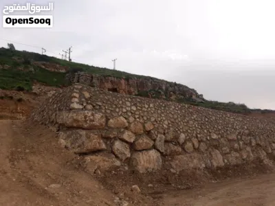 ارض 2 دونم مشاع بلعدسيه ( سناسل اسمنيته عدد 2) 2