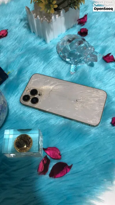 iPhone 13 Pro Max 2