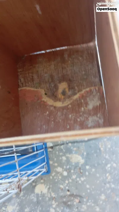 قفص طيور للبيع 4
