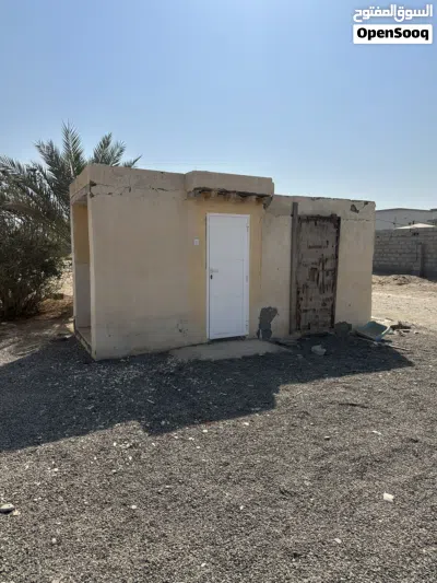 اراضي فضاء و بيت ف مزرعة للايجار في مركز بركاء lands and House on a farm for rent 4