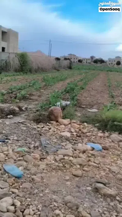 دنم ارض بسعر لقطه 4
