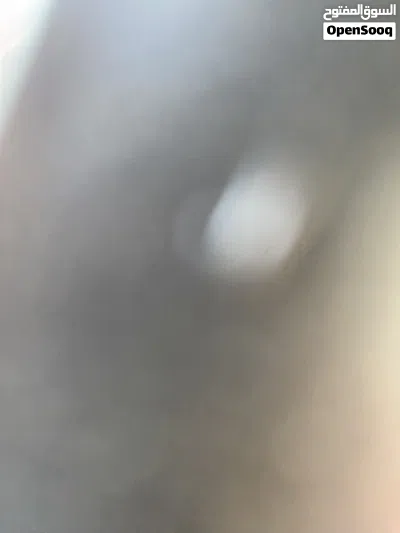 أبحث عن فيلا للإيجار 2