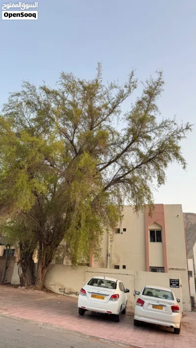 بنايه سكنيه موقع ممتاز في الوادي الكبير 4
