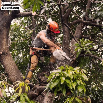 cleaning,shifting,tree trimming and demolition services cleaning service house deep cleaning house 3