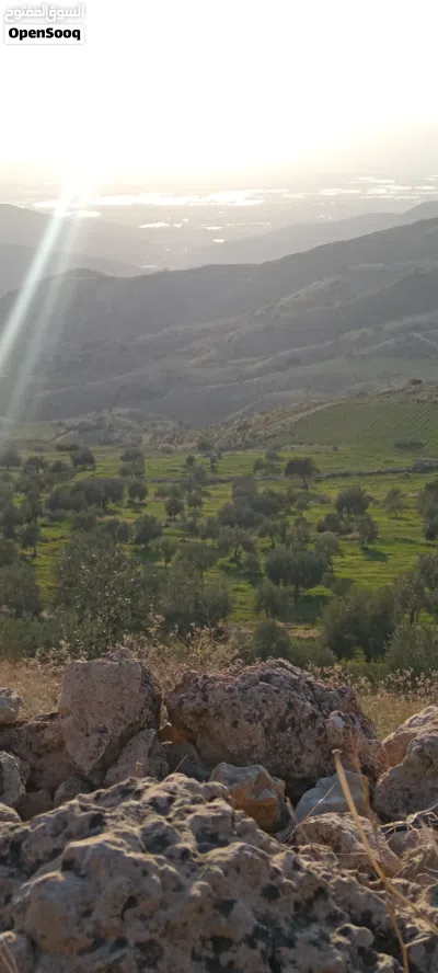 قطعة أرض مزرعه للبيع 3