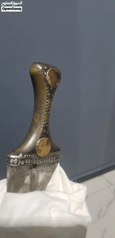 جنبيه صيفاني عرطه بيعه محتاج فقط ب14000 سعودي 2