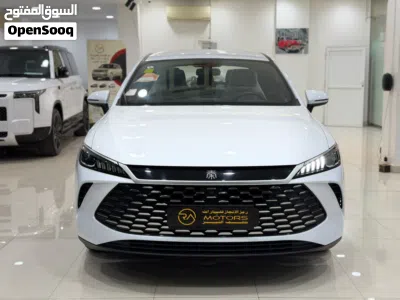 BYD Other 3