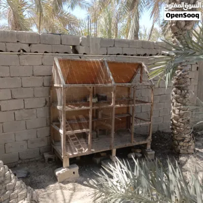 قفص للبيع يرهم كل لطيور الوصف مهم 2