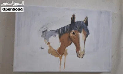 لوحة رسم حصان بمقاس 20cm×30cm سعر قابل للتفاوت 4
