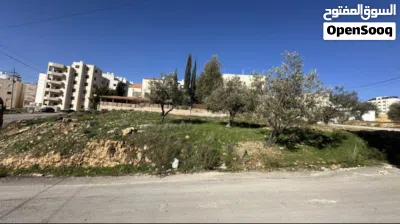 قطعة ارض مميزة غرب عمان 3