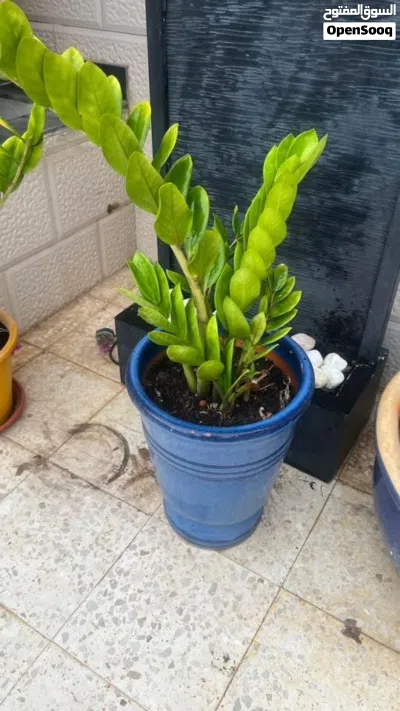 undefined 2