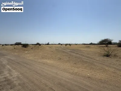 السويق خضراء السعد 4