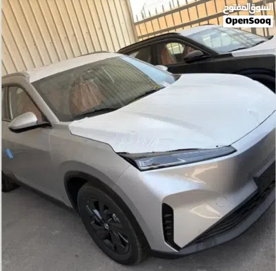 دونج فينج سكاي EV01 4