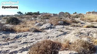 ارض عالية في دورا 2