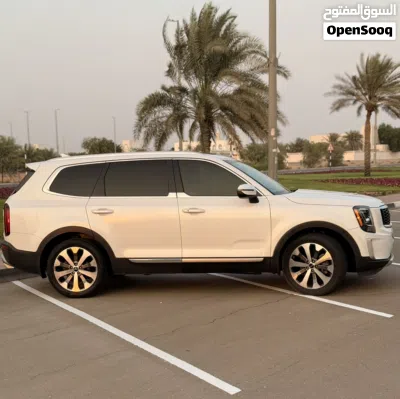 Kia Telluride EX 2