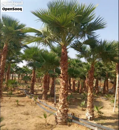 undefined 2