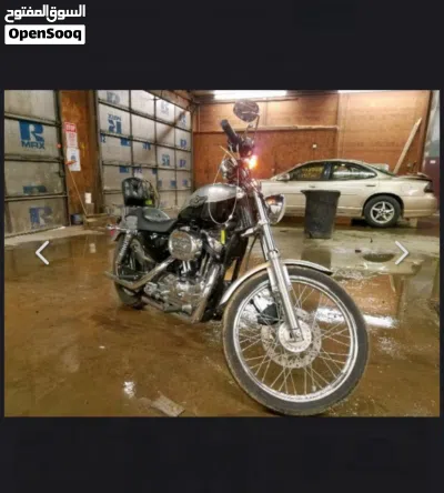 Harley Davidson 1200 Custom 3