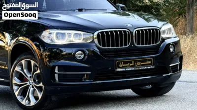 BMW X5 Series X5 xDrive40i 2
