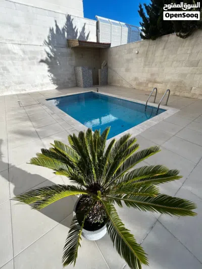 شقة شبة مفروشة للإيجار ( Property 48556 )-164906 2