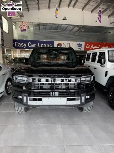 Haval Other 2