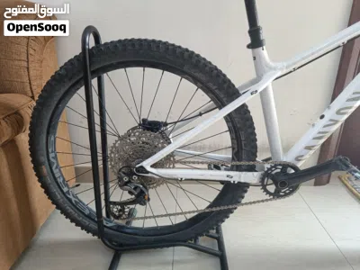 mountain bike 3