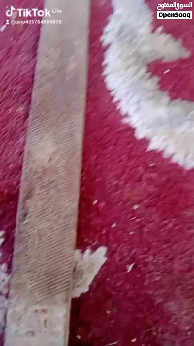 ديك باكستاني 2