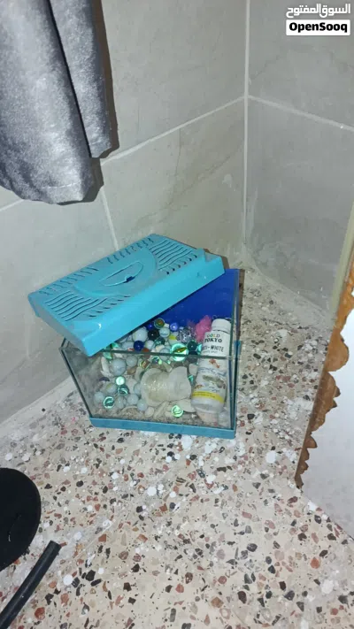 undefined 3