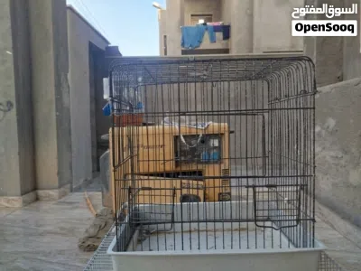 قفص كبير للبيع متع كوكتيل 3
