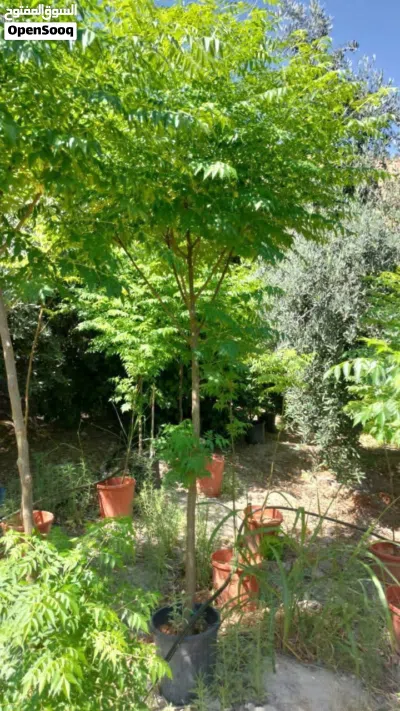 undefined 3