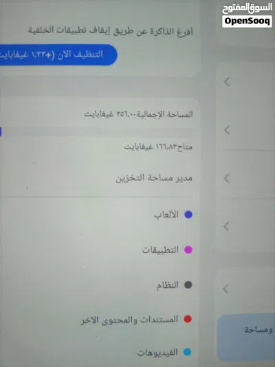 بلاك فيو ميجا 1 256 جيجا الحجم الكبير لون سلفر 4