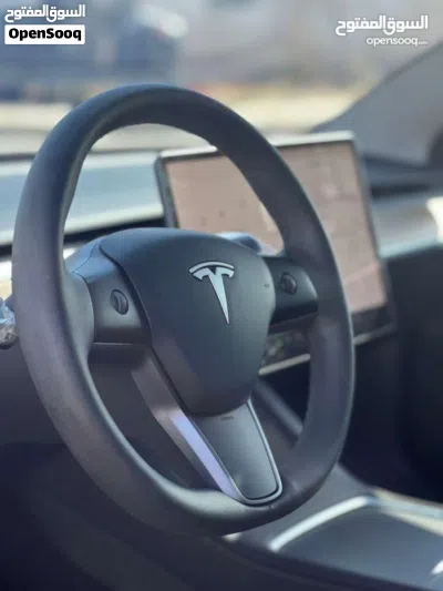 Tesla Model 3 Standard Plus 2