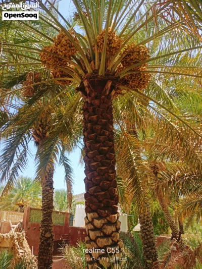undefined 2