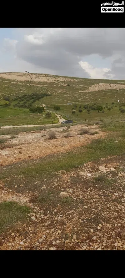 ارض للبيع .عين والمعمرية . 4