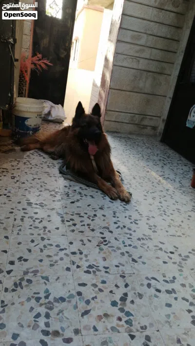 undefined 3