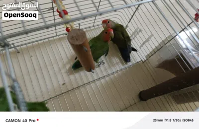 undefined 3