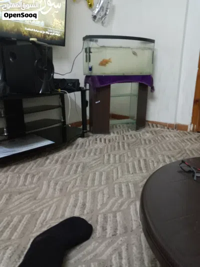 بيت مستقل للبيع 3