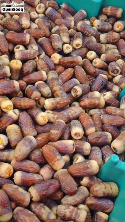 تمر جريجرو 4