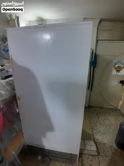 فريزه نظيفه 4