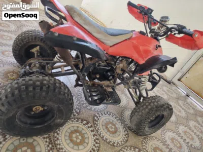 Polaris Victory 2