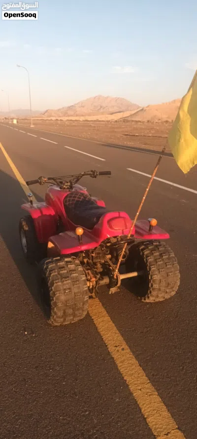 Buggy All Models 4