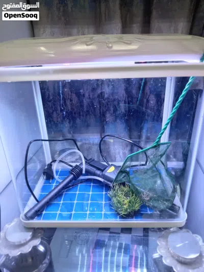 undefined 2